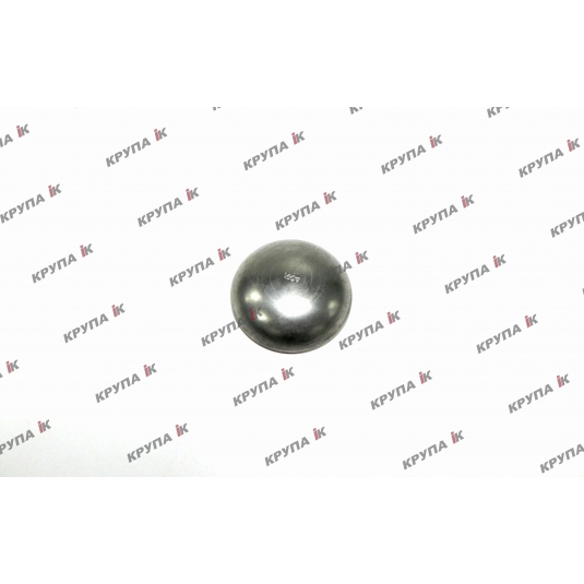 Кришка задньої ступиці колеса 2388, 560950R1