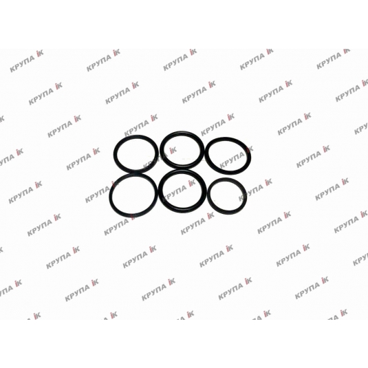 Комплект кілець на гідромотор 2388 (239-5018, 631458C1, 238-6018)
