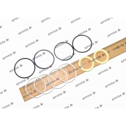 Ремкомплект муфты мамы МХ310, 87775594