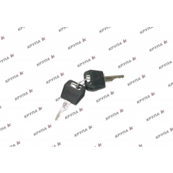 Ключи зажигання (2шт) 316988A1, A77313, 307852A1