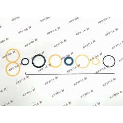 Ремкомплект рулевого цилиндра 2166 цапфенное типа