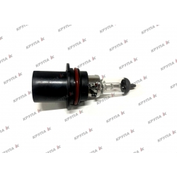 Лампочка панорамного освітлення центр.65/45W, 137823A1, 388872A1