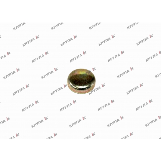 Заглушка блока двигуна 21,0мм.