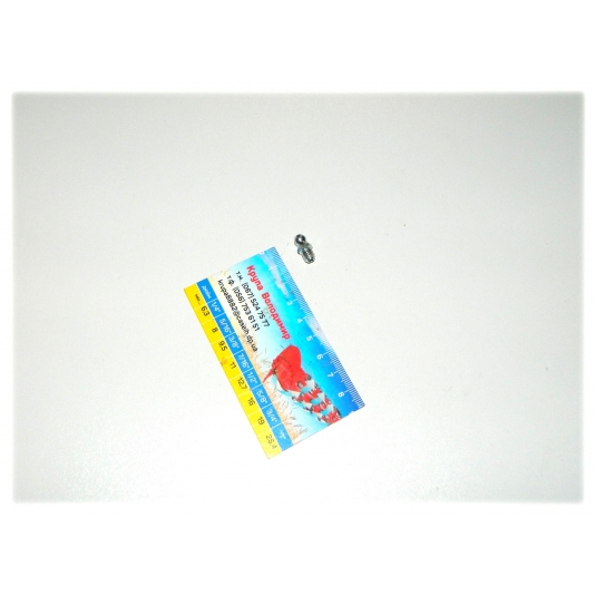 Масленка M6x1 прямая