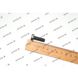 Болт фіксатора розподільчого валу