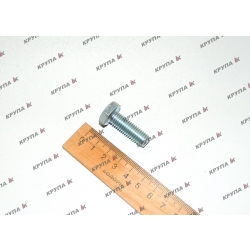 Болт М10х30
