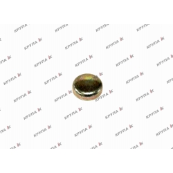 Заглушка блока двигуна 21,0мм.